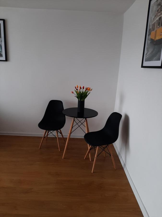 Kawalerka 28M Salon Z Kuchnia Centrum Nowy Sacz Ngoại thất bức ảnh